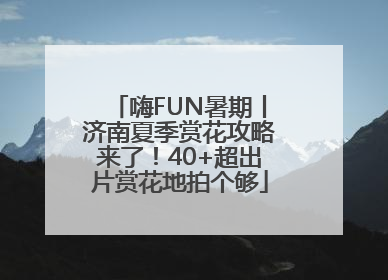 嗨FUN暑期丨济南夏季赏花攻略来了！40+超出片赏花地拍个够